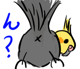 Cockatiel Facial expression sticker #9090268