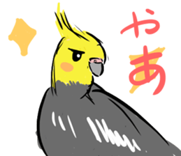 Cockatiel Facial expression sticker #9090271