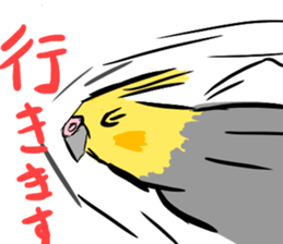 Cockatiel Facial expression sticker #9090274