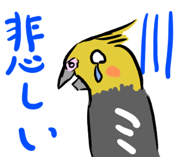 Cockatiel Facial expression sticker #9090277