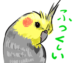 Cockatiel Facial expression sticker #9090279
