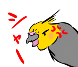Cockatiel Facial expression sticker #9090280