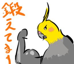 Cockatiel Facial expression sticker #9090281