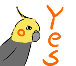 Cockatiel Facial expression sticker #9090284