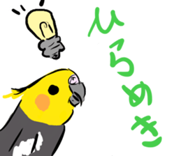 Cockatiel Facial expression sticker #9090287