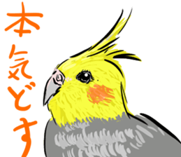 Cockatiel Facial expression sticker #9090290