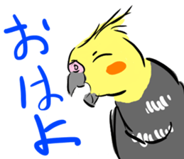 Cockatiel Facial expression sticker #9090292
