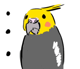 Cockatiel Facial expression sticker #9090293