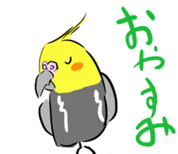 Cockatiel Facial expression by KPLER sticker #9090294