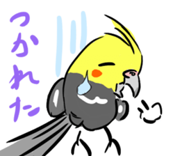 Cockatiel Facial expression sticker #9090299