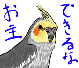 Cockatiel Facial expression sticker #9090303