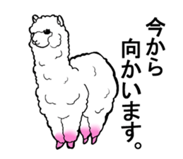 Busy alpaca sticker #9092747