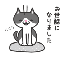 My cat "Mu-chan" sticker new year Ver. sticker #9093912