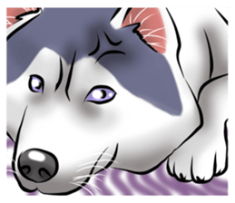 Free dogs-English version- sticker #9094225