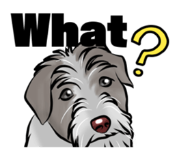 Free dogs-English version- sticker #9094228