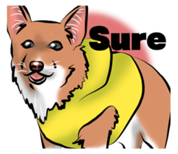 Free dogs-English version- sticker #9094254