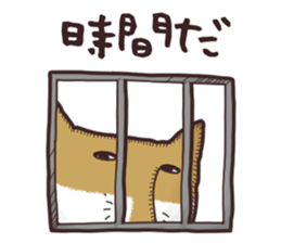 Tibetan Sand Fox Sticker sticker #9094780