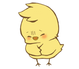 Daily cute chick 1 sticker #9095167