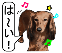 Dachshund!Best. sticker #9096592