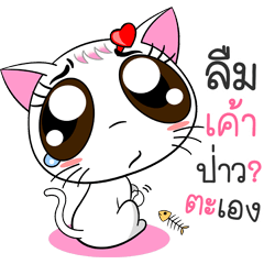 Memy-Meo (Vol. 1) The TLC Cats.