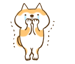 Shiba Inu Dog Shinbe sticker #9097830