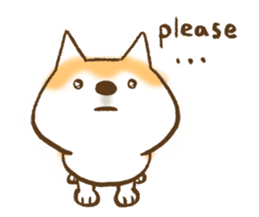 Shiba Inu Dog Shinbe sticker #9097837