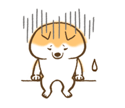 Shiba Inu Dog Shinbe sticker #9097848