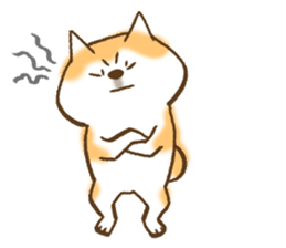 Shiba Inu Dog Shinbe sticker #9097849