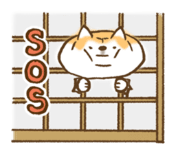 Shiba Inu Dog Shinbe sticker #9097851