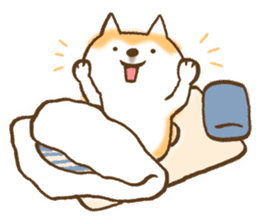 Shiba Inu Dog Shinbe sticker #9097852