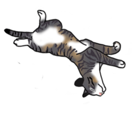 MiaoMiaoMiaoMiao sticker #9099144