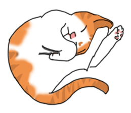 MiaoMiaoMiaoMiao sticker #9099145