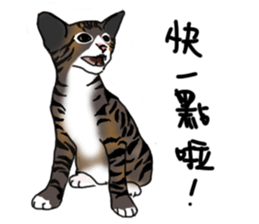 MiaoMiaoMiaoMiao sticker #9099148