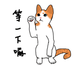 MiaoMiaoMiaoMiao sticker #9099149