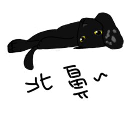 MiaoMiaoMiaoMiao sticker #9099151