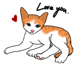 MiaoMiaoMiaoMiao sticker #9099153