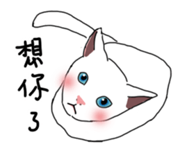 MiaoMiaoMiaoMiao sticker #9099154