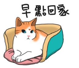 MiaoMiaoMiaoMiao sticker #9099157