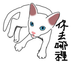 MiaoMiaoMiaoMiao sticker #9099158