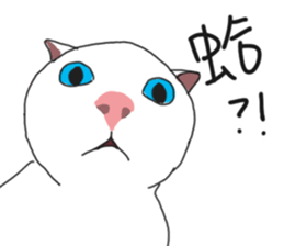 MiaoMiaoMiaoMiao sticker #9099162