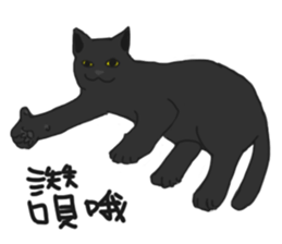 MiaoMiaoMiaoMiao sticker #9099163