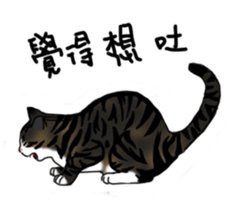 MiaoMiaoMiaoMiao sticker #9099164