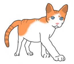 MiaoMiaoMiaoMiao sticker #9099165