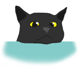 MiaoMiaoMiaoMiao sticker #9099167