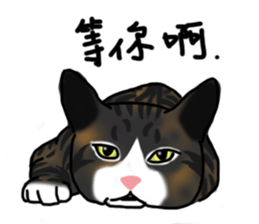 MiaoMiaoMiaoMiao sticker #9099168