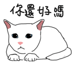 MiaoMiaoMiaoMiao sticker #9099170