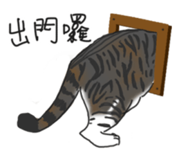 MiaoMiaoMiaoMiao sticker #9099172