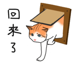 MiaoMiaoMiaoMiao sticker #9099173