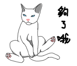 MiaoMiaoMiaoMiao sticker #9099174