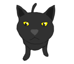 MiaoMiaoMiaoMiao sticker #9099175